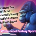 White Label Fantasy Sports: Build Your Own Fantasy Sports Platform