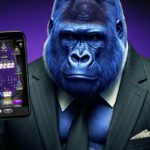 Best Poker Club Software A Comprehensive Comparison | 3up