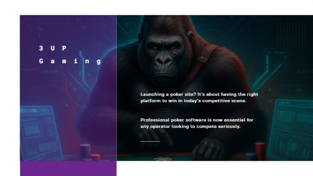 Professional Poker Platform Software