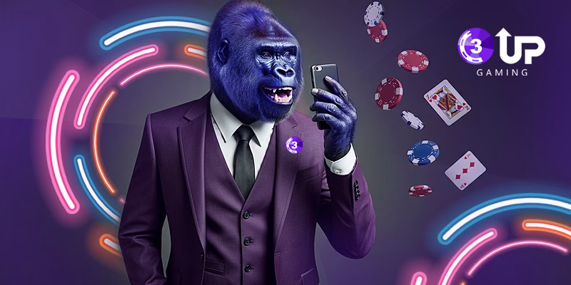 Start a Poker Business with Poker Network: No High Investment Needed, Perfect for Small Teams 1 image 399