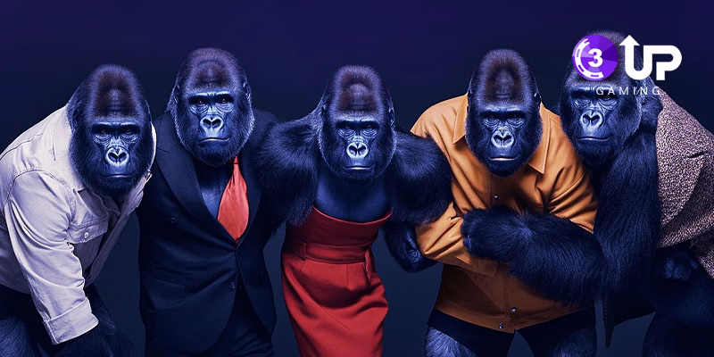 Start a Poker Business with Poker Network: No High Investment Needed, Perfect for Small Teams 2 image 400