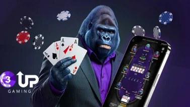 Buy Poker Source Code: A Complete Guide to Building Your Poker Platform