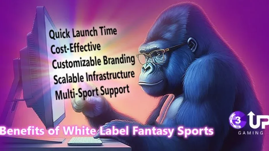 White Label Fantasy Sports: Build Your Own Fantasy Sports Platform